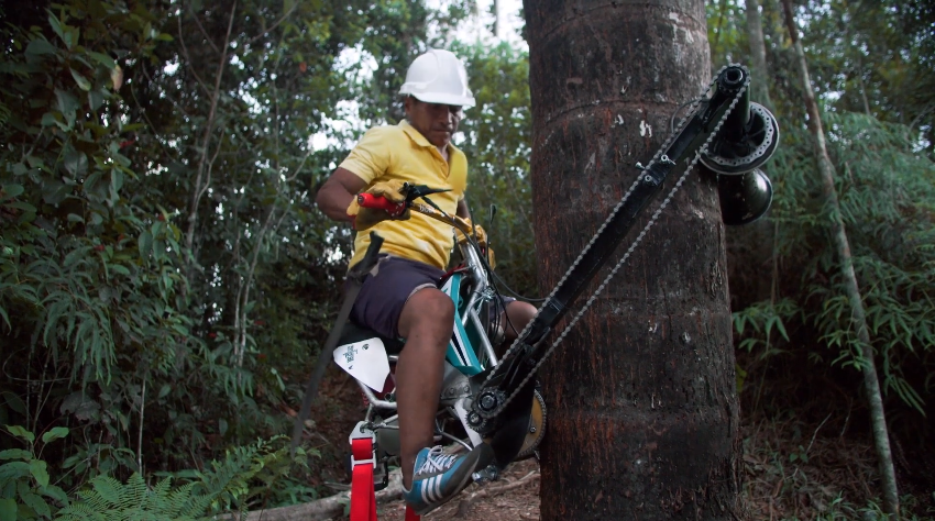 Crean bicicleta que facilita la cosecha del aguaje y evita la tala de árboles 1 IKEA propone jugar para cuidar el bienestar mental en su nueva campaña