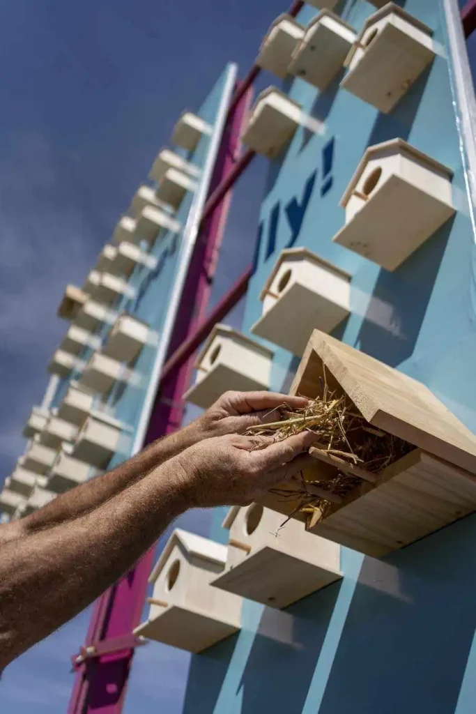 Centro comercial convierte sus vallas publicitarias en casas para aves 4 valla pajaros portal de la marina 04