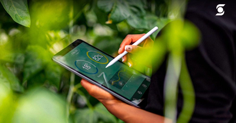 Scotiabank abre la convocatoria del Fondo Net Zero Research por el Día Mundial del Medio Ambiente 1 PORTAL SCOTIABANK 1