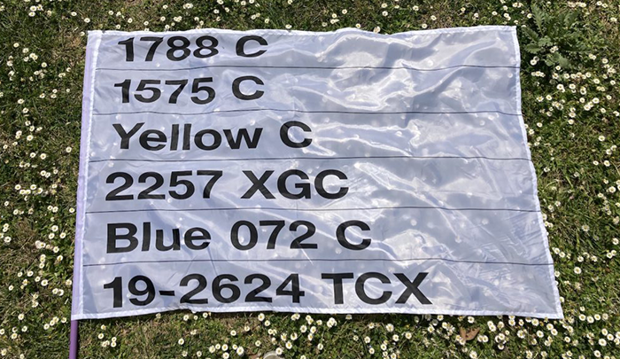 Diseñan bandera LGTBIQ+ codificada para que esta pueda ser exhibida en países “conservadores” 2 arcoiris codificado 700x405 1