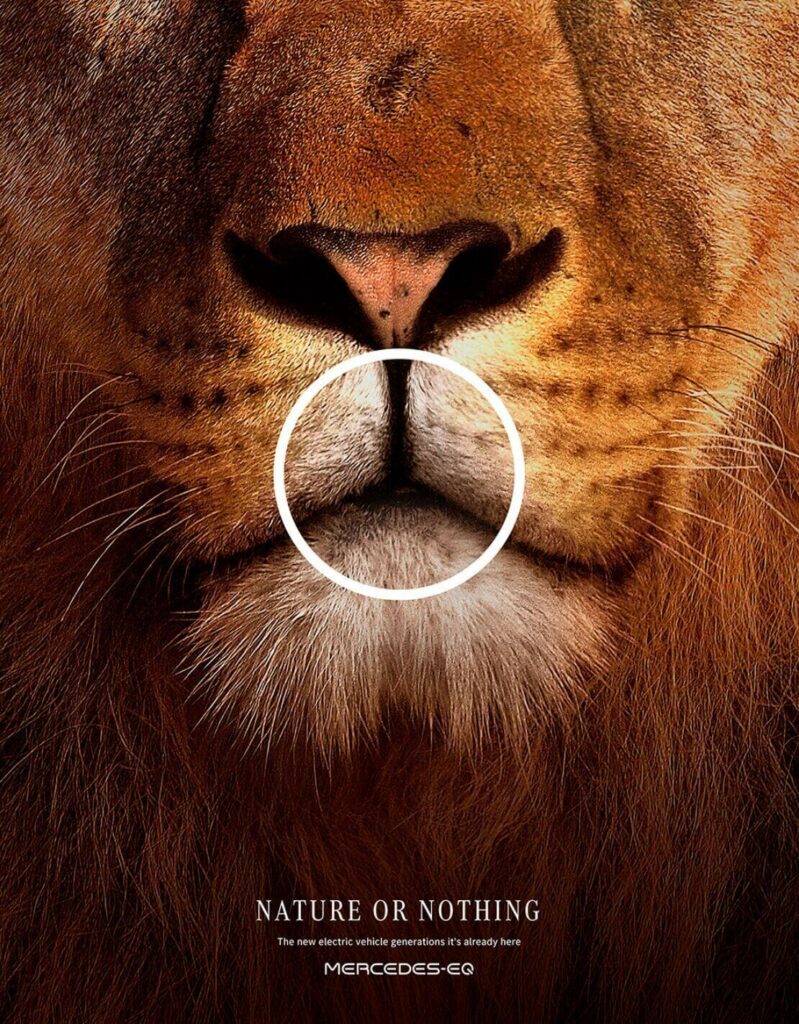 Campaña demuestra que el logo de Mercedes Benz está presente en la naturaleza 2 1660037553100 1 1