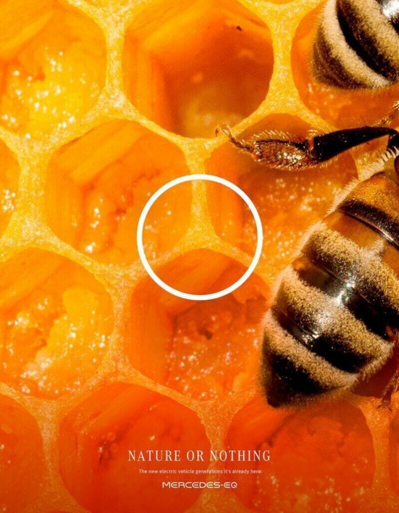 Campaña demuestra que el logo de Mercedes Benz está presente en la naturaleza 7 1660119511114 1