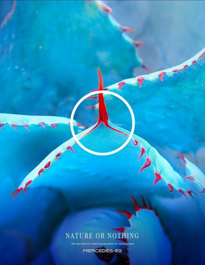 Campaña demuestra que el logo de Mercedes Benz está presente en la naturaleza 3 1660119511713 1