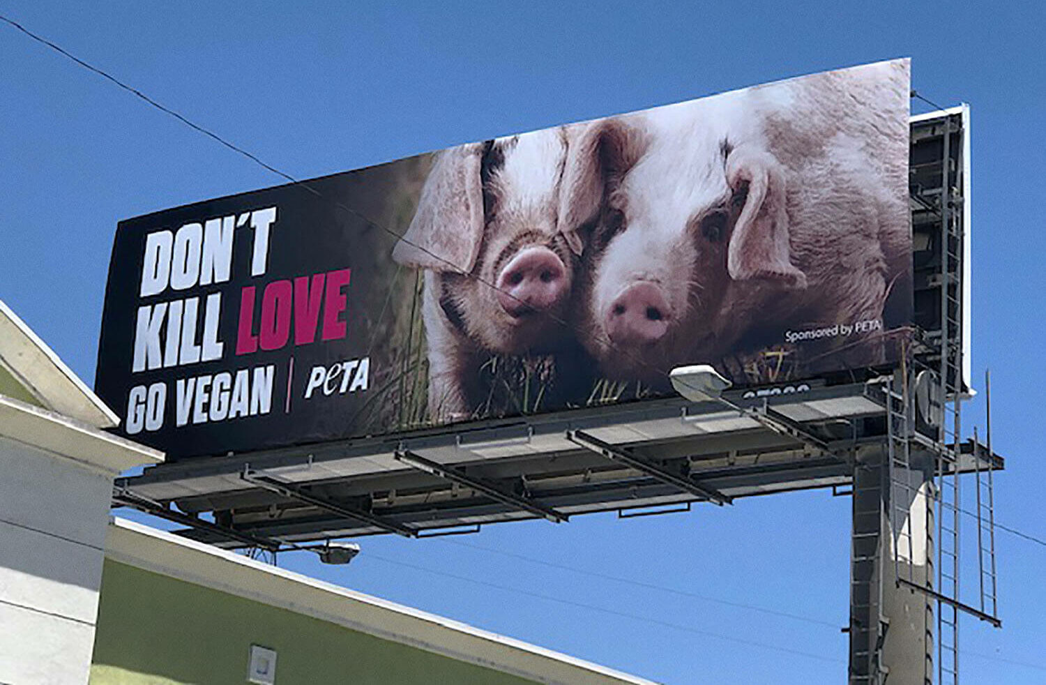 Don't kill love, la campaña que incentiva el veganismo a través del amor 1 Don’t kill love campaña PeTa
