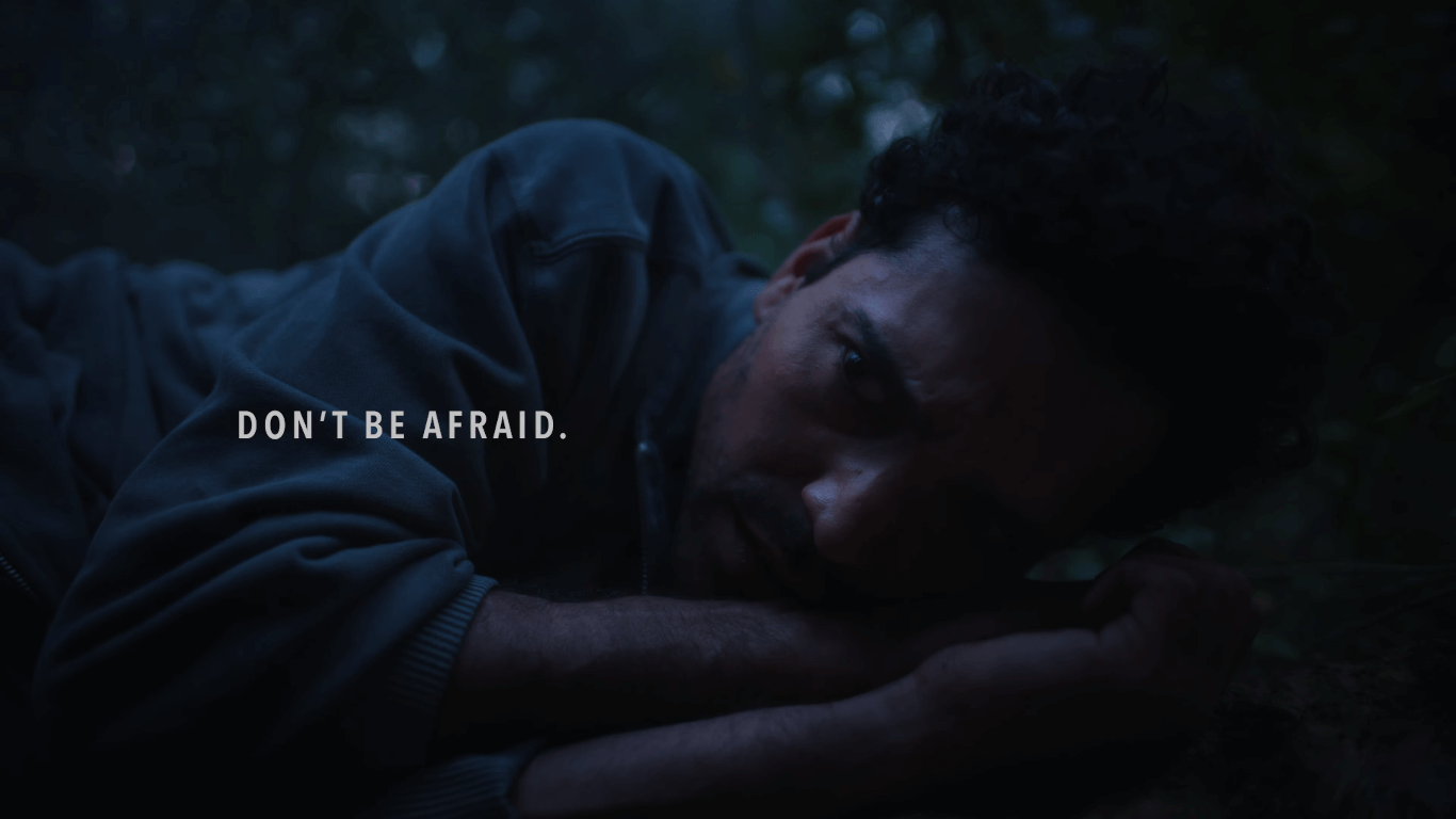 El abandono de mascotas es el centro de la nueva campaña de Animalife 1 Perros: El abandono de mascotas es el centro de la nueva campaña de Animalife