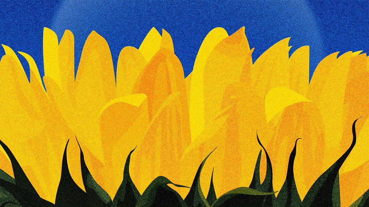 WPP lanza campaña para apoyar la reconstrucción económica de Ucrania 1 wpp ucrania 1