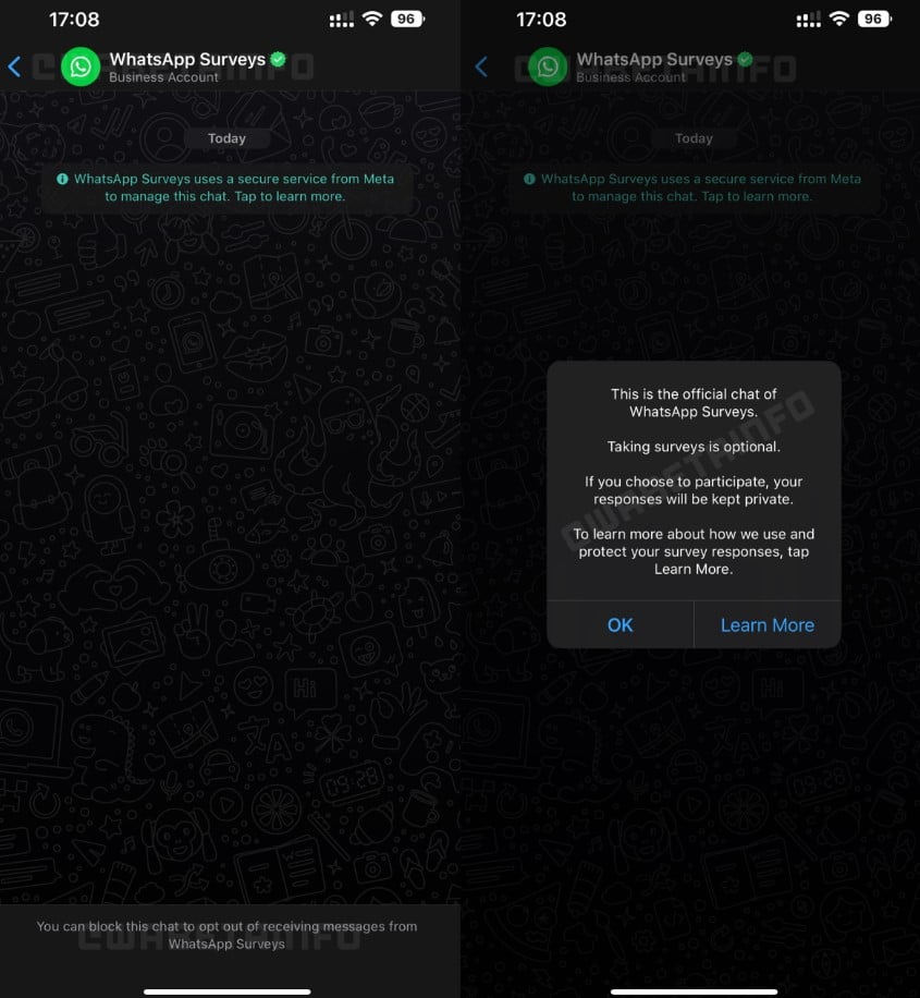 WhatsApp tendrá una herramienta para encuestar a sus usuarios 2 1309303screenshot 1jpg