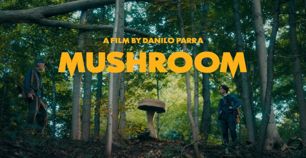 Ford promociona sus nuevos vehículos eléctricos sin mostrar un solo modelo 1 Ford promociona sus nuevos vehículos