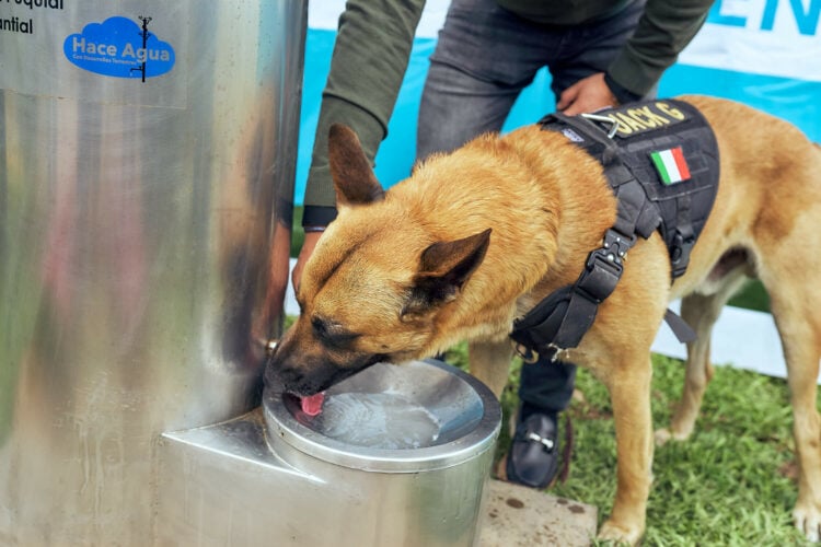 Inauguran el primer bebedero de agua potable para personas y mascotas 1 Inauguran el primer bebedero de agua potable para personas y mascotas