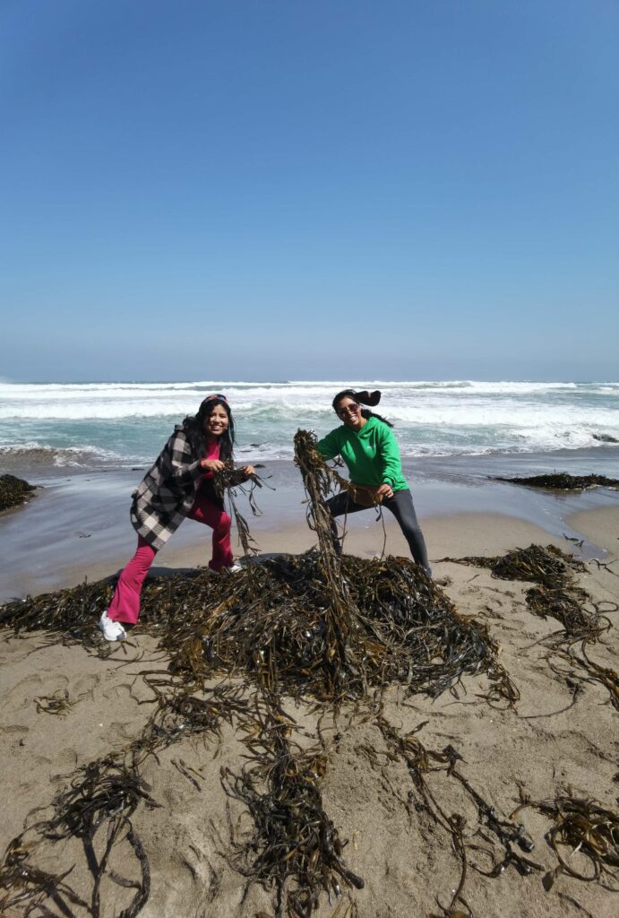 Traveleras conocen el trabajo de colecta pasiva de algas que se realiza en la Reserva Nacional San Fernando 1