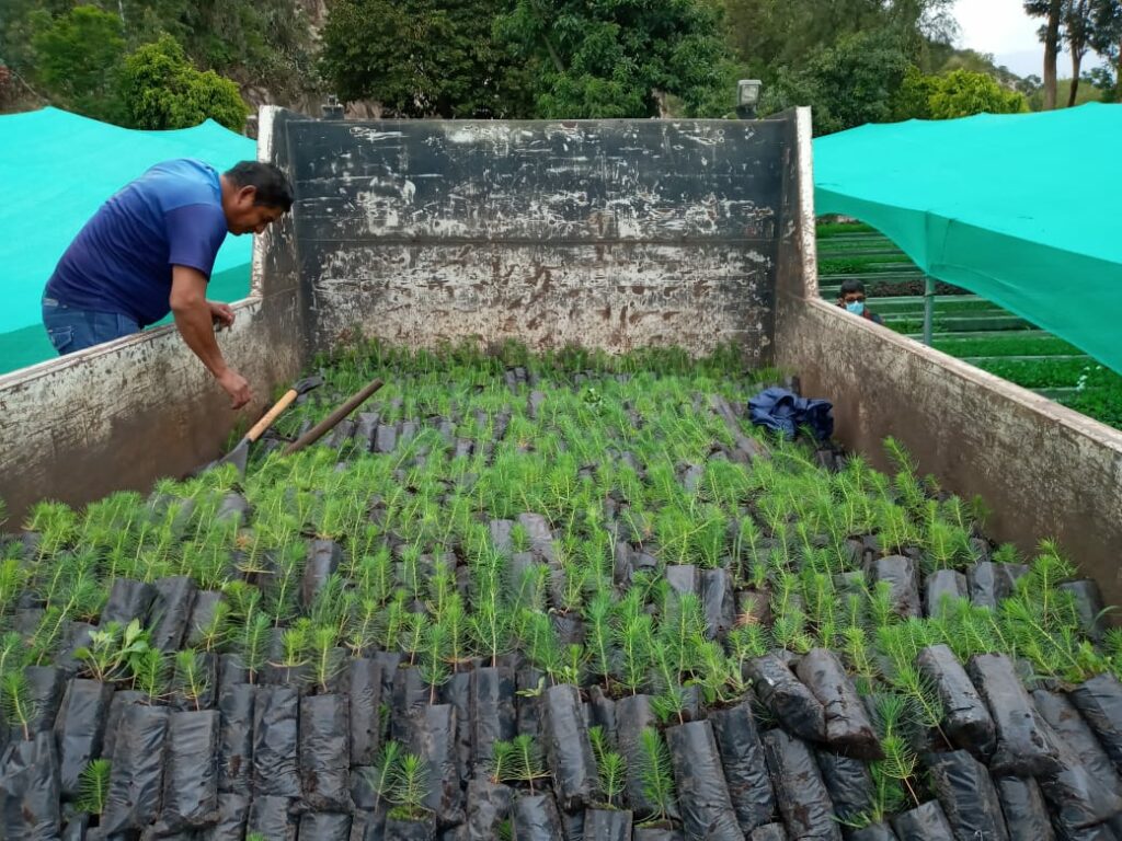 WhatsApp Image 2022 10 24 at 7.47.16 AM 2