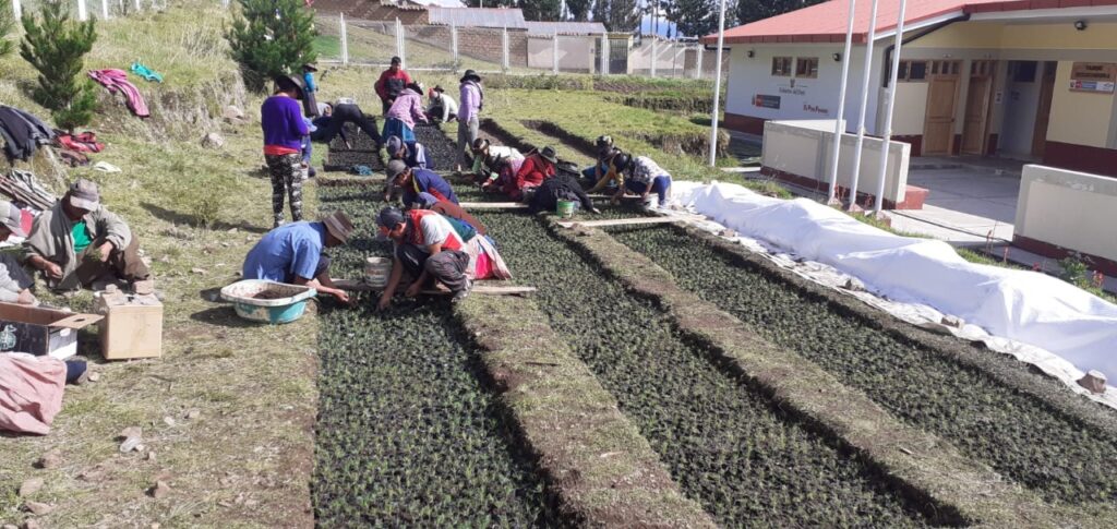 WhatsApp Image 2022 10 24 at 7.47.17 AM