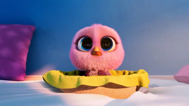 Campaña sobre un joven pavo busca que haya más cenas veganas en Navidad
