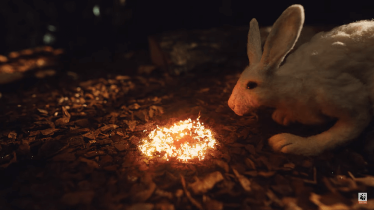Campaña usa fuego real para mostrar el efecto de los incendios forestales