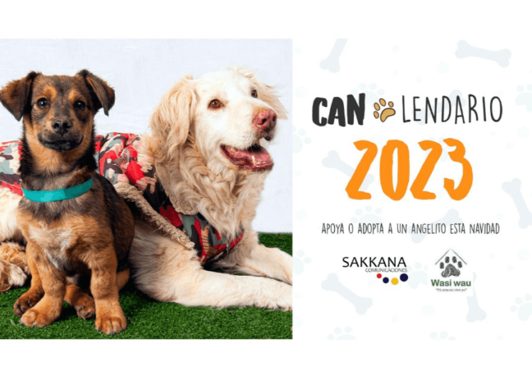 Lanzan calendario de perritos para promover su adopción 1 Lanzan calendario de perritos para promover su adopción