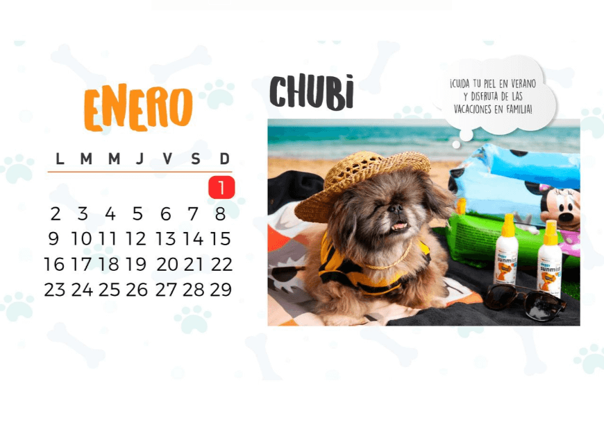 Lanzan calendario de perritos para promover su adopción 2 enero 1