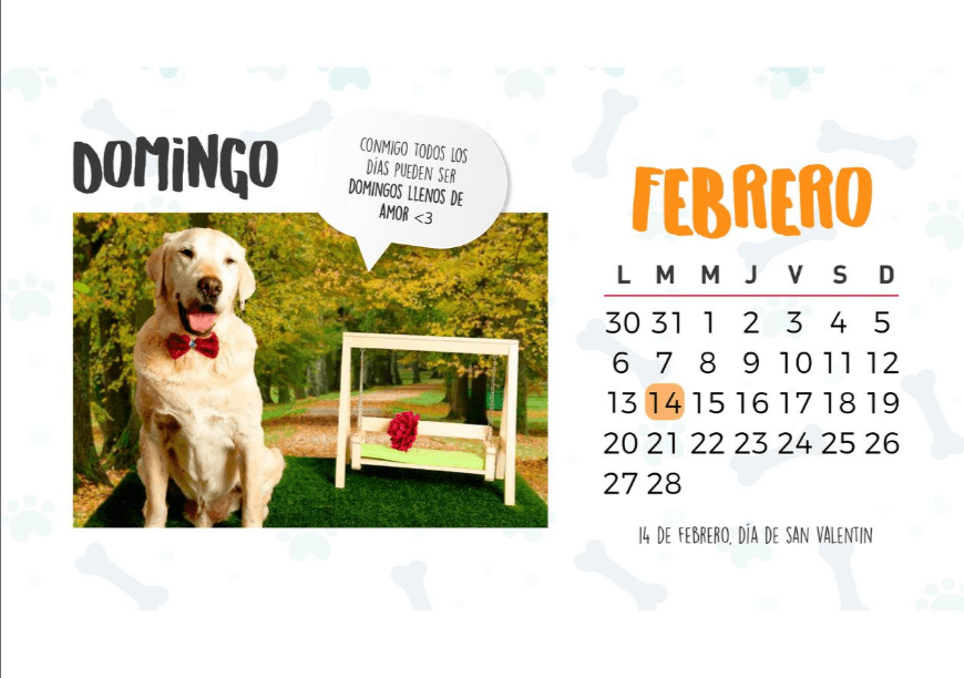 Lanzan calendario de perritos para promover su adopción 5 febrero 1