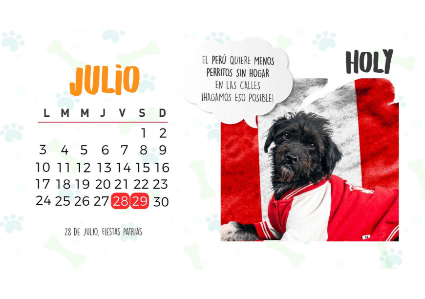 Lanzan calendario de perritos para promover su adopción 3 hylio 1