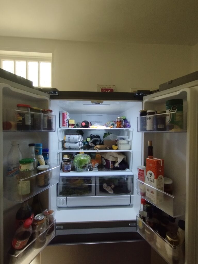 MN Adthropologist 08