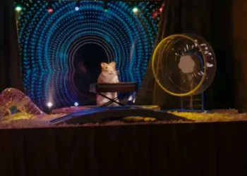 16