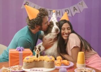 convierte perritos en estrellas de cine