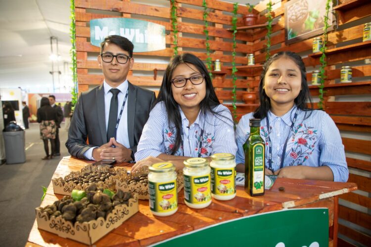 Conoce los tres perfiles de los emprendedores peruanos