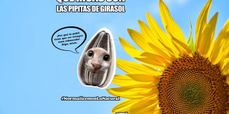Campaña de semillas de girasol critica la “publicidad rebuscada” 1 Campaña de semillas de girasol critica la “publicidad rebuscada”