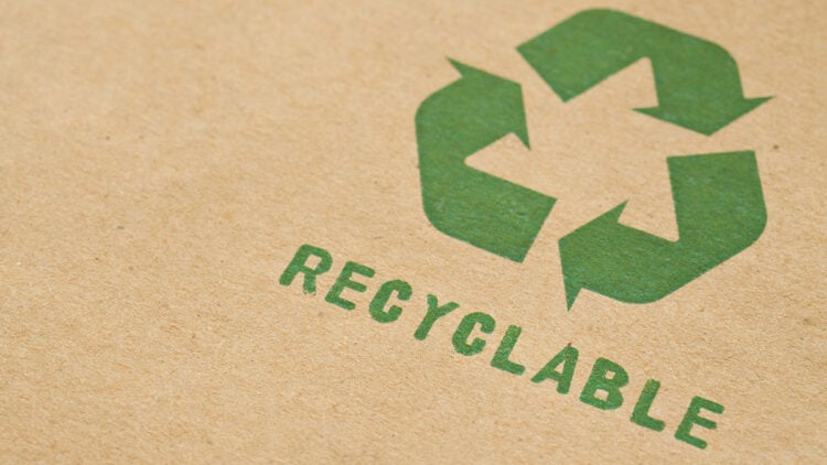 Sostenibilidad que vende: Cómo el reciclaje se convierte en tendencia entre las marcas 1 recycling