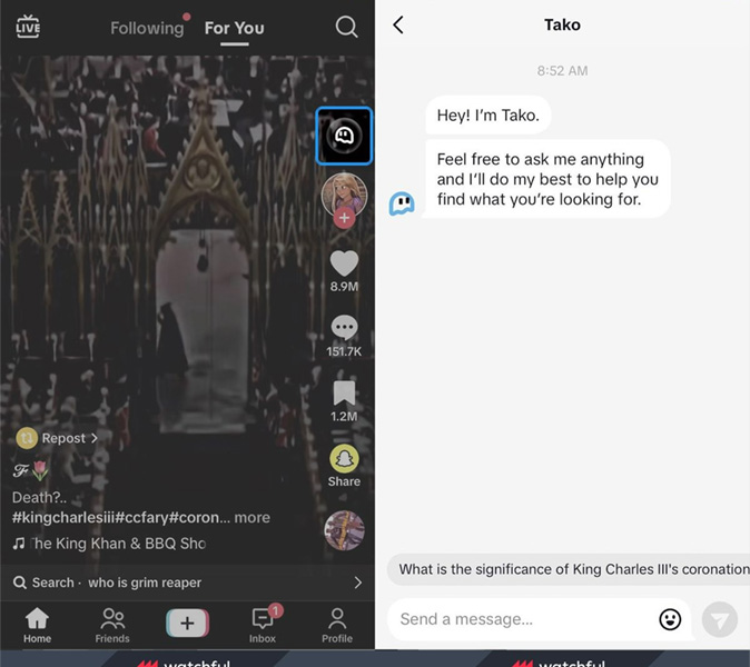 TikTok apuesta por la inteligencia artificial con 'Tako', su propio chatbot interactivo 2 tako