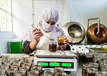 Emprendimiento: 30% señala que dar a conocer su negocio es el desafío principal