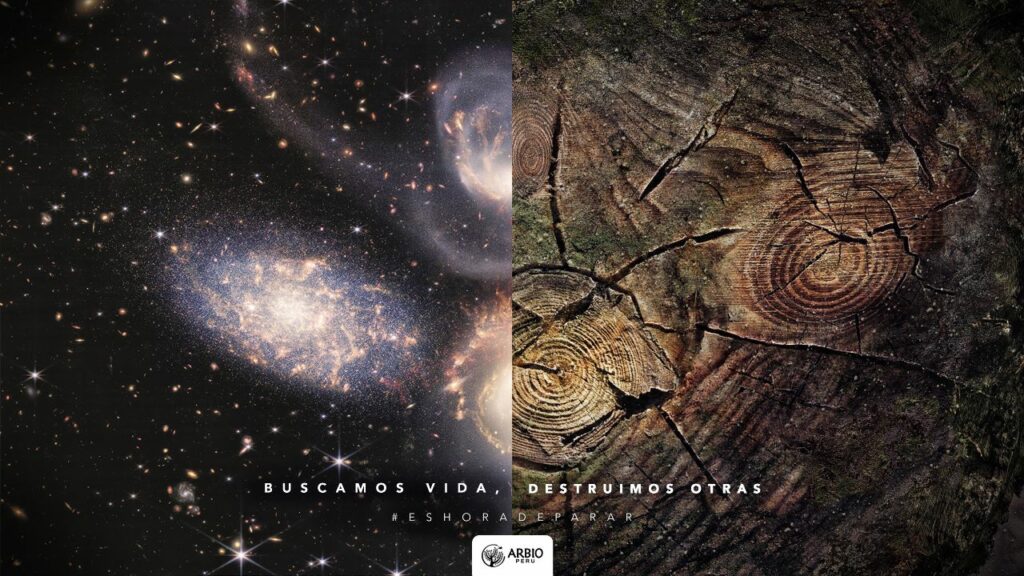 WhatsApp Image 2023 06 23 at 15.23.00 1