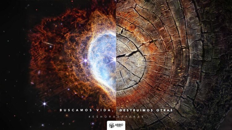 Organización peruana de protección de bosques gana reconocimiento por campaña publicitaria