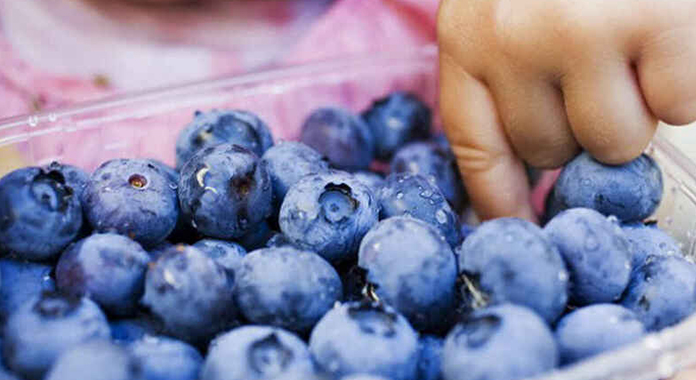 Exportación de productos orgánicos peruanos superó los 628 millones de dólares 1 Exportación de productos orgánicos peruanos superó los 628 millones de dólares