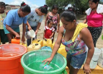 Una Sola Salud: ¿Qué significa y cuál es el papel que tiene la comunicación para su implementación?