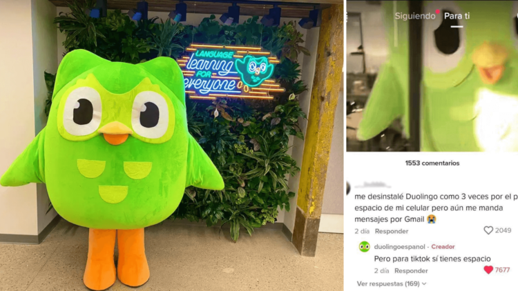 marcas que destacan por su contenido orgánico en TikTok