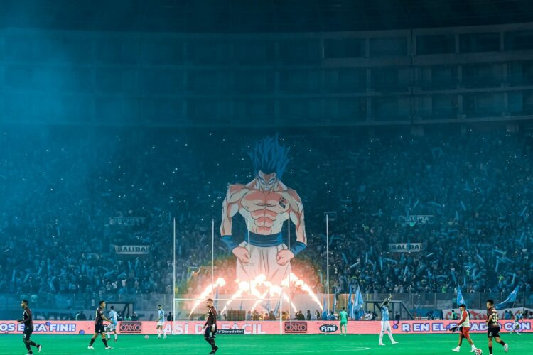 Un saiyajin y Nasción Celeste