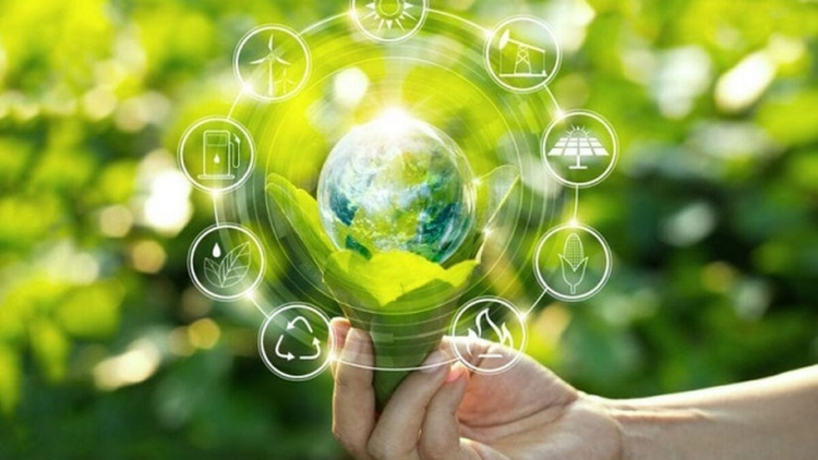 Indecopi multará publicidad ambiental engañosa: causas y montos 1 publicidad ambiental engañosa