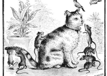 dibujo de gato perezoso 2dym6ne