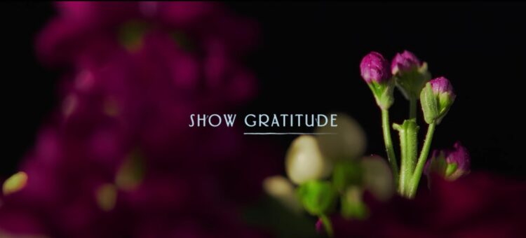 “Crean” ramo con flores que crecen en la Antártida para hablar sobre cambio climático