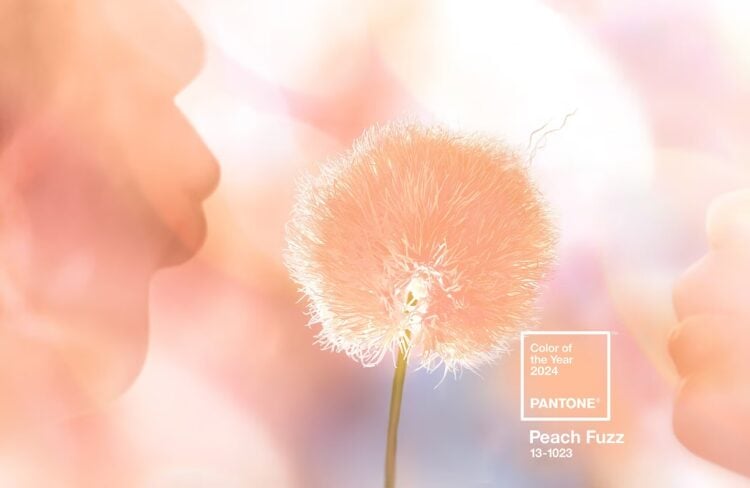 Peach Fuzz, el color del 2026 según Pantone