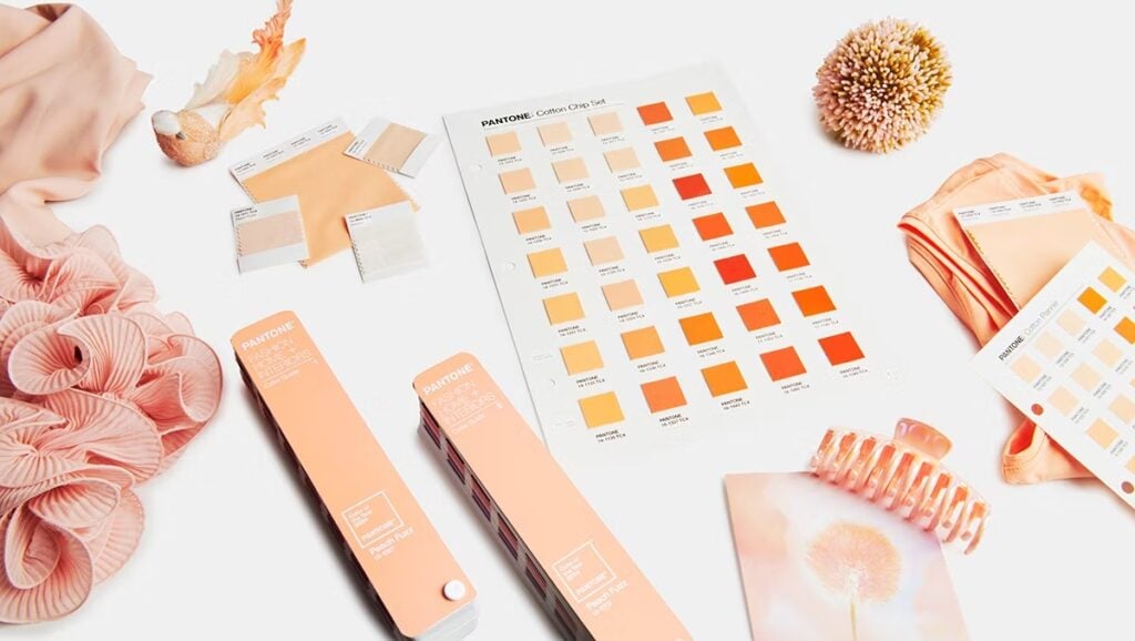 pantone colour year peach fuzz 5