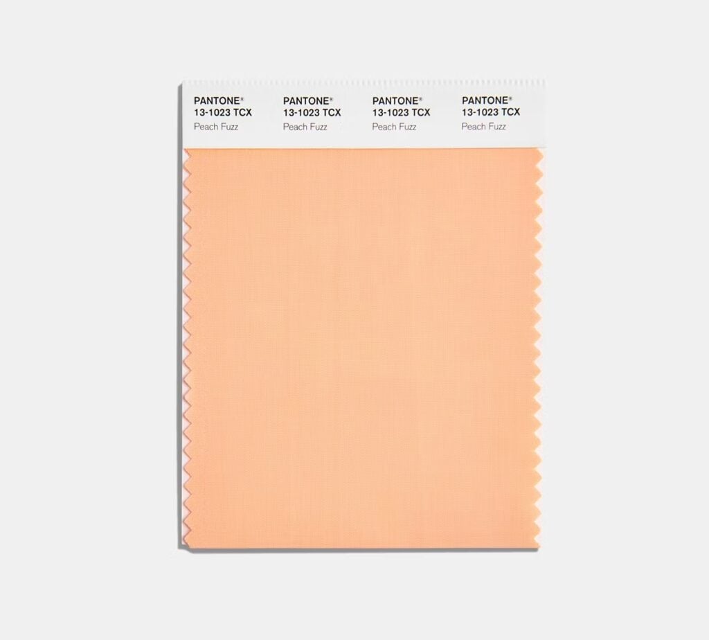 pantone colour year peach fuzz 6