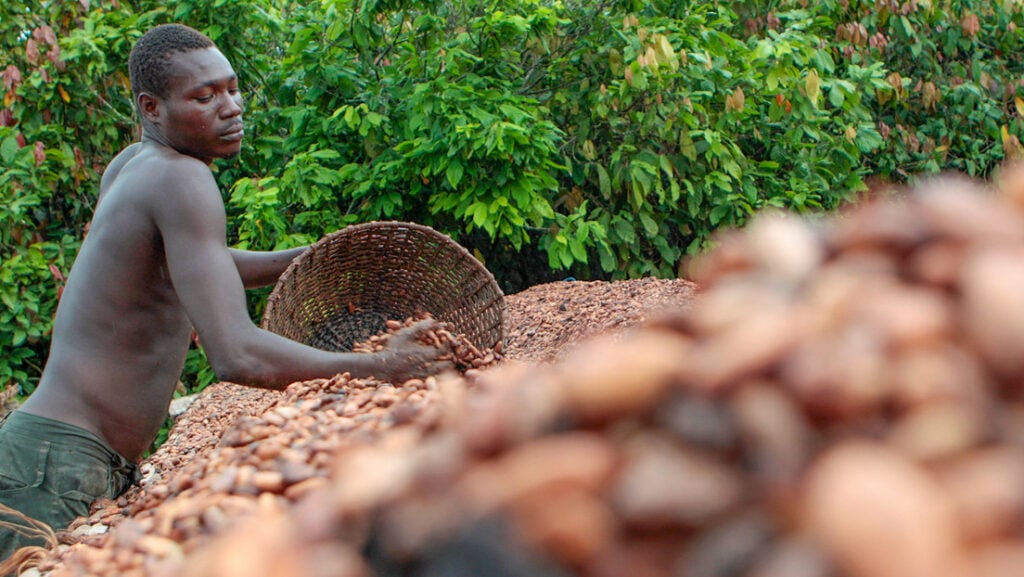 CACAO