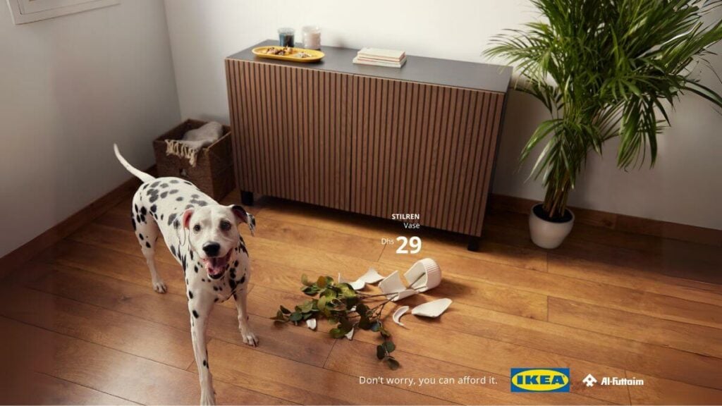 desastres que generan las mascotas