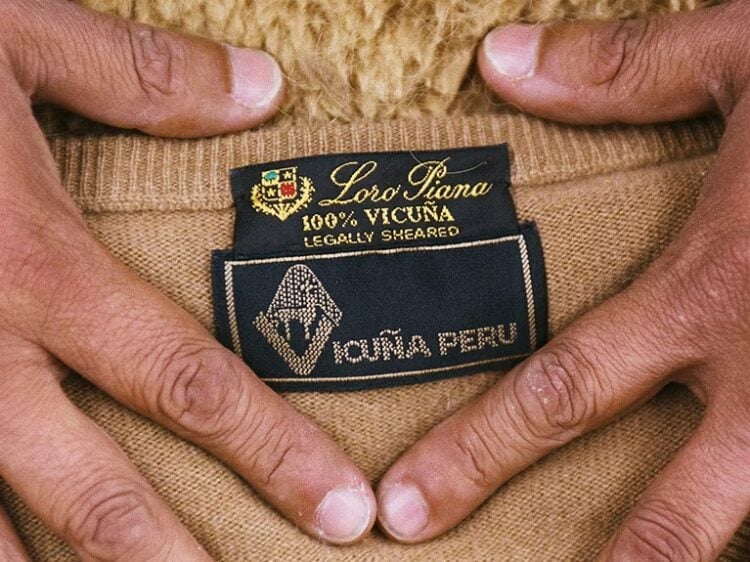 Los agricultores que trabajan gratis detrás de las lujosas prendas de vicuña de Loro Piana
