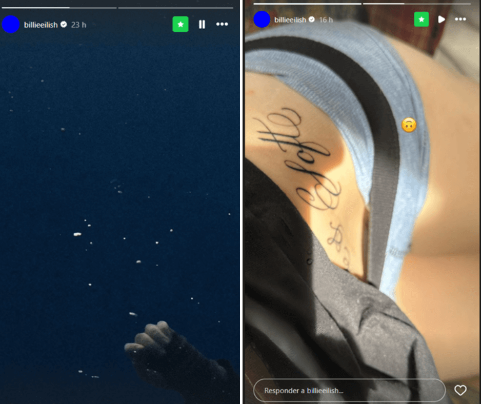 Simple y gratis: la acción con la que Billie Eilish ganó seis millones de seguidores en Instagram 3 Billie Eilish instagram