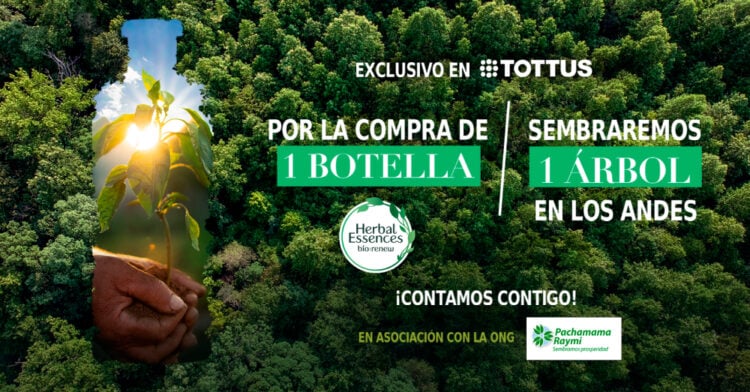 Herbal Essences lanza campaña para la siembra de árboles junto a Pachamama Raymi y Tottus 1 PORTAL 2024 04 04T111841.848 1