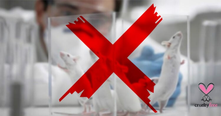 Día internacional de los animales de laboratorio: tres marcas peruanas cruelty free 1 PORTAL 9 1