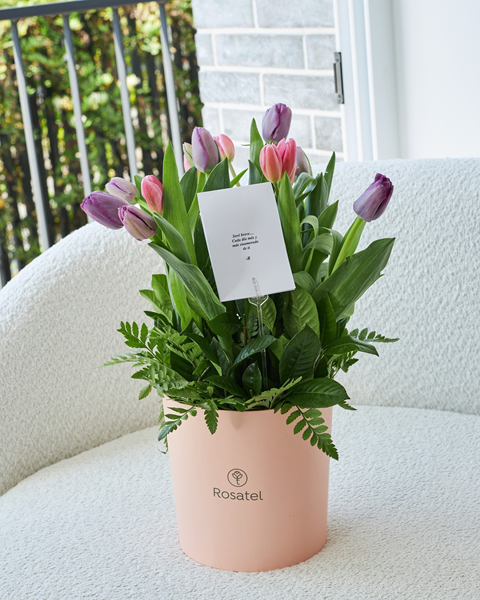 Cinco marcas peruanas que empezaron como emprendimientos 5 empezaron como emprendimientos