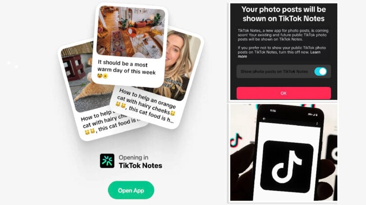 TikTok Notes, la nueva app para compartir fotos y texto que desafía a Instagram 1 otiktok notes 100